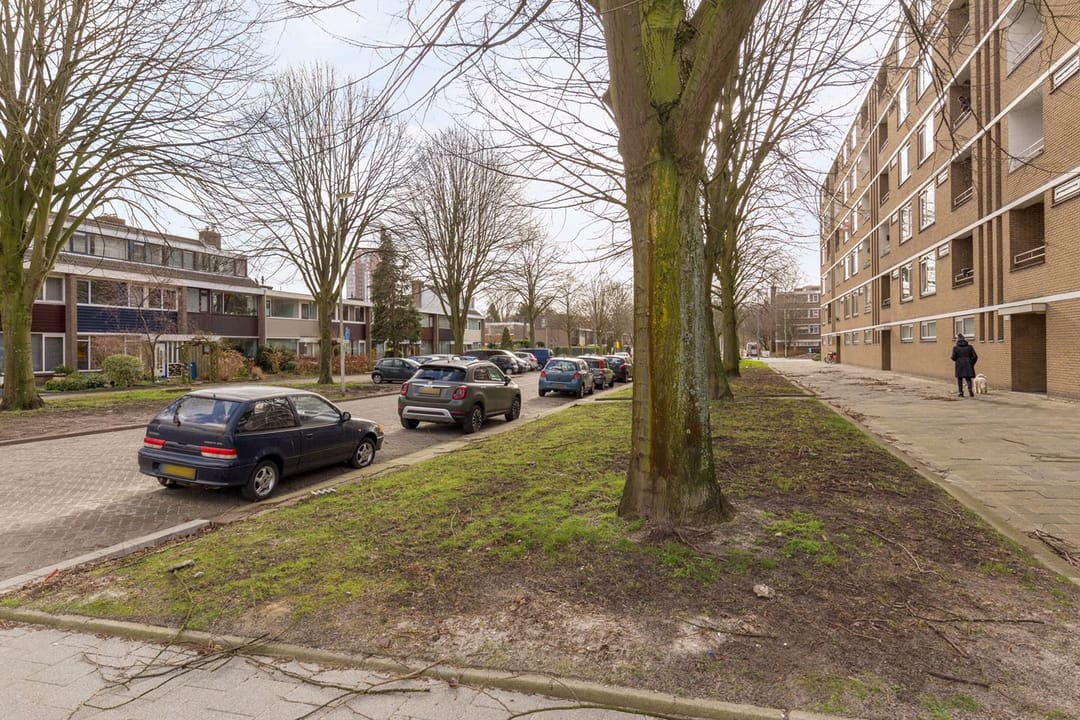 Photo 28 of Cornelis Bloemaertsingel 19