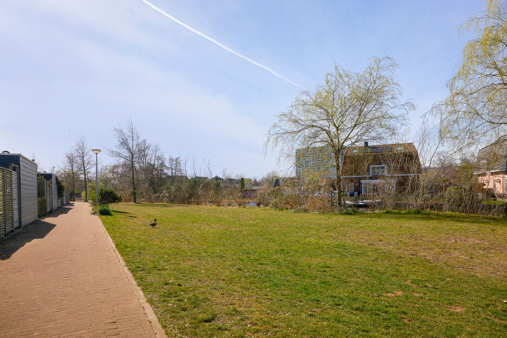 Foto 15 van Hoopende Swaen 20