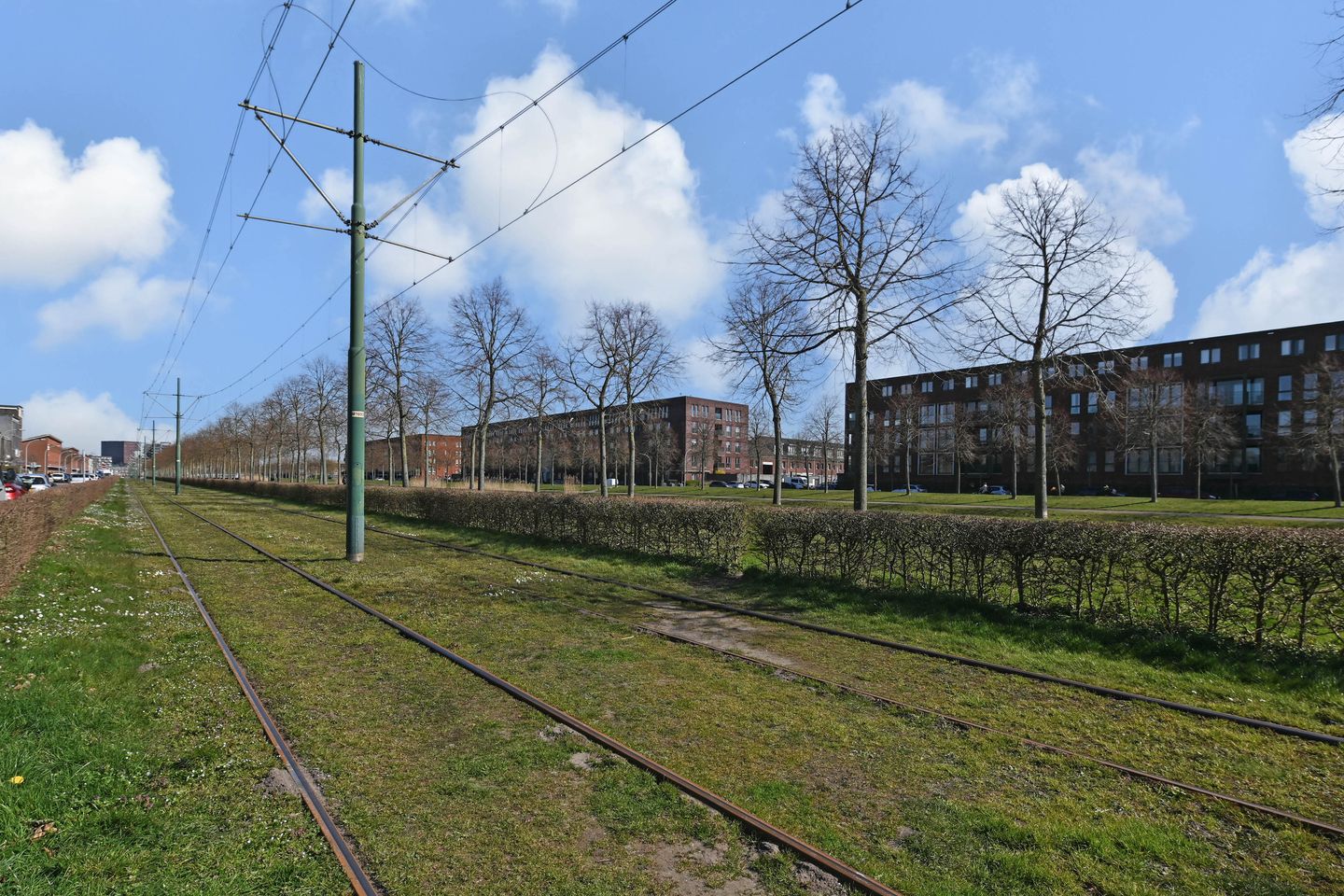 Photo 35 of Reuzenreigerstraat 13