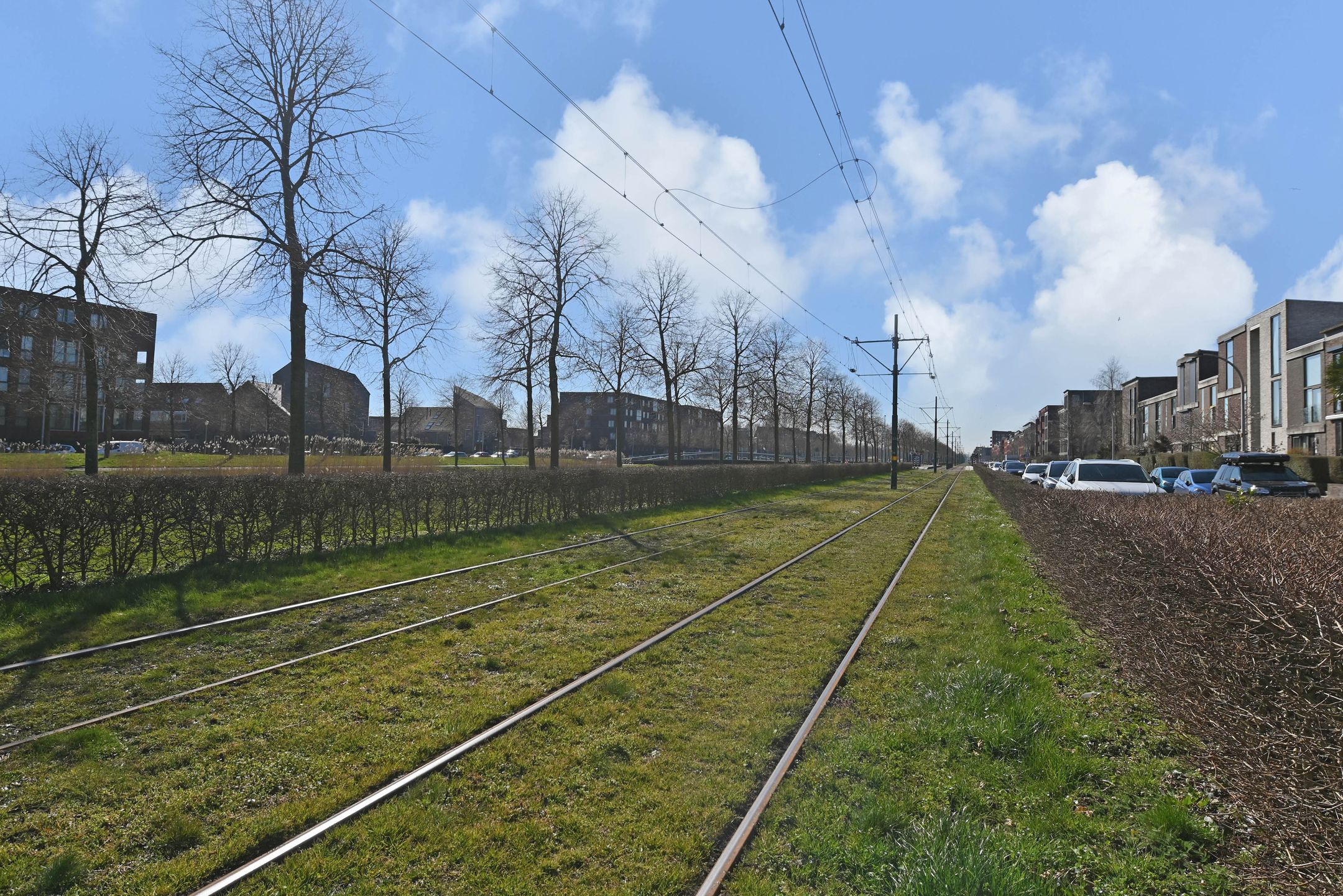 Photo 36 of Reuzenreigerstraat 13