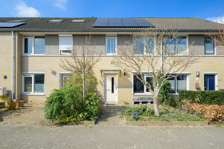 undefined main image