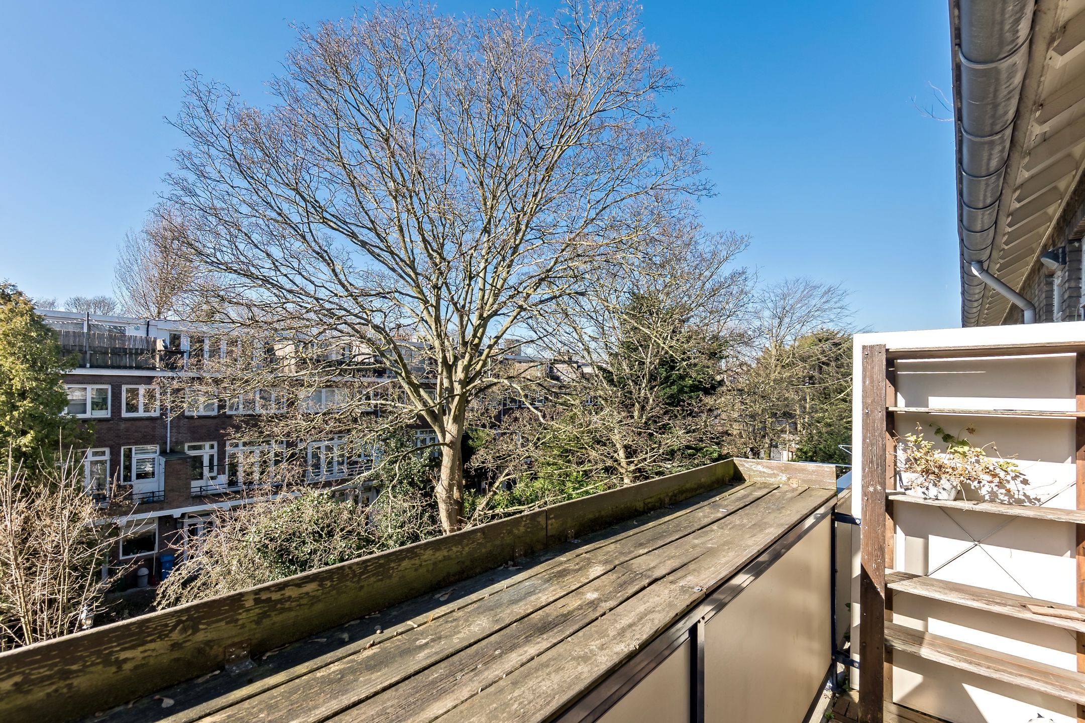 Foto 18 van Von Geusaustraat 39