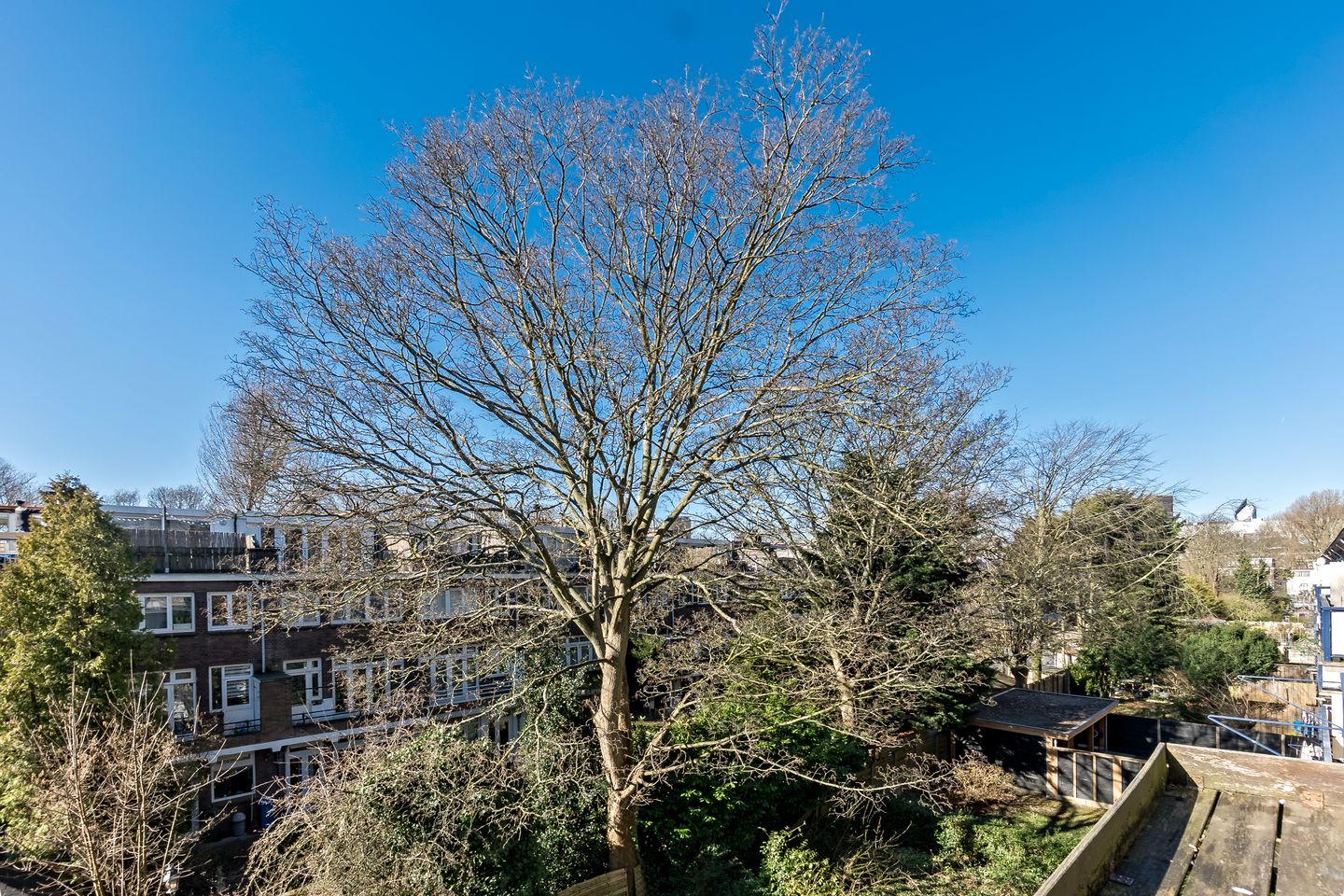 Foto 19 van Von Geusaustraat 39