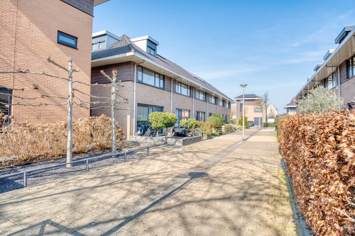 Foto 4 van Duizendschoon 69