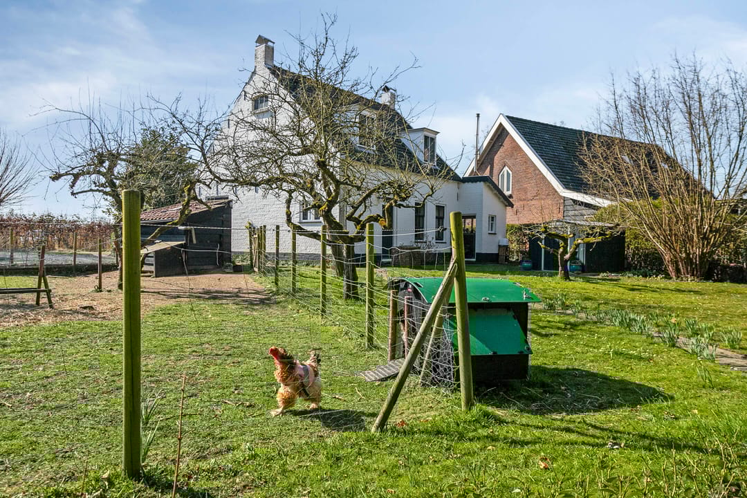 Photo 43 of Slabbekoornsedijk 4