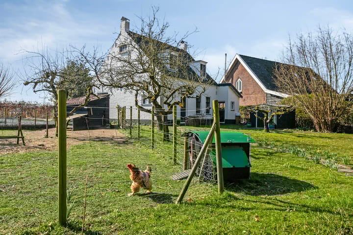 Photo 43 of Slabbekoornsedijk 4