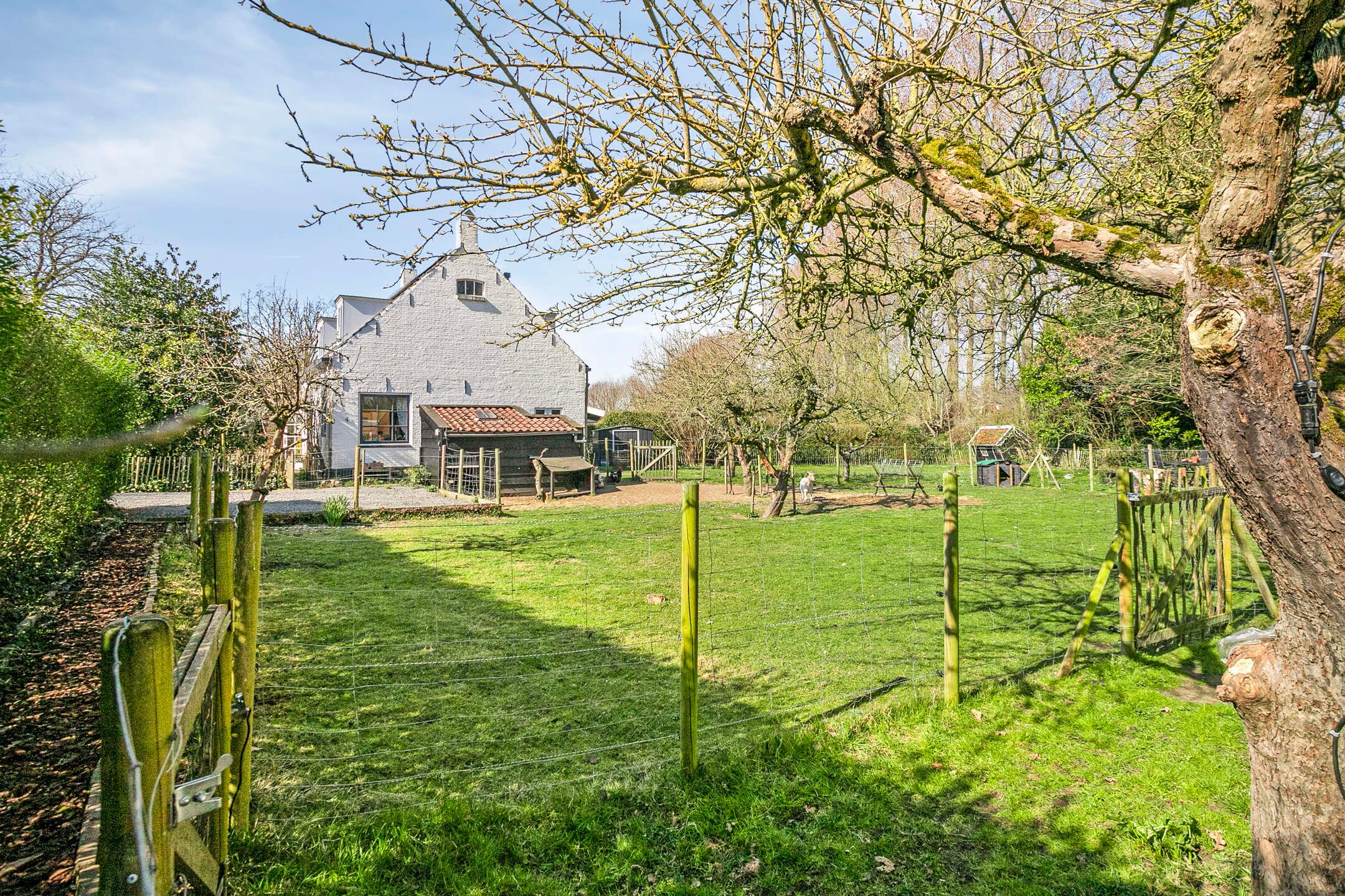 Photo 51 of Slabbekoornsedijk 4