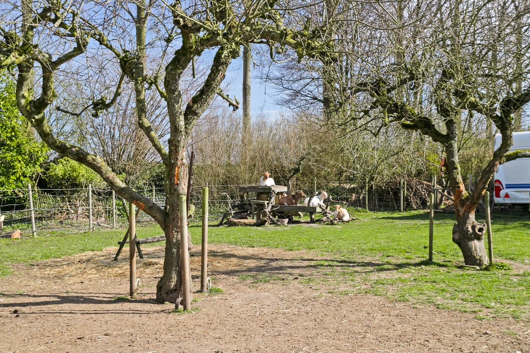 Photo 52 of Slabbekoornsedijk 4