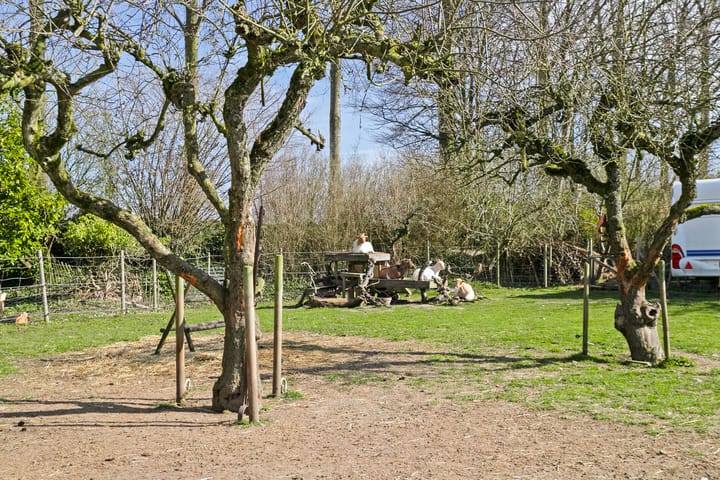 Photo 52 of Slabbekoornsedijk 4