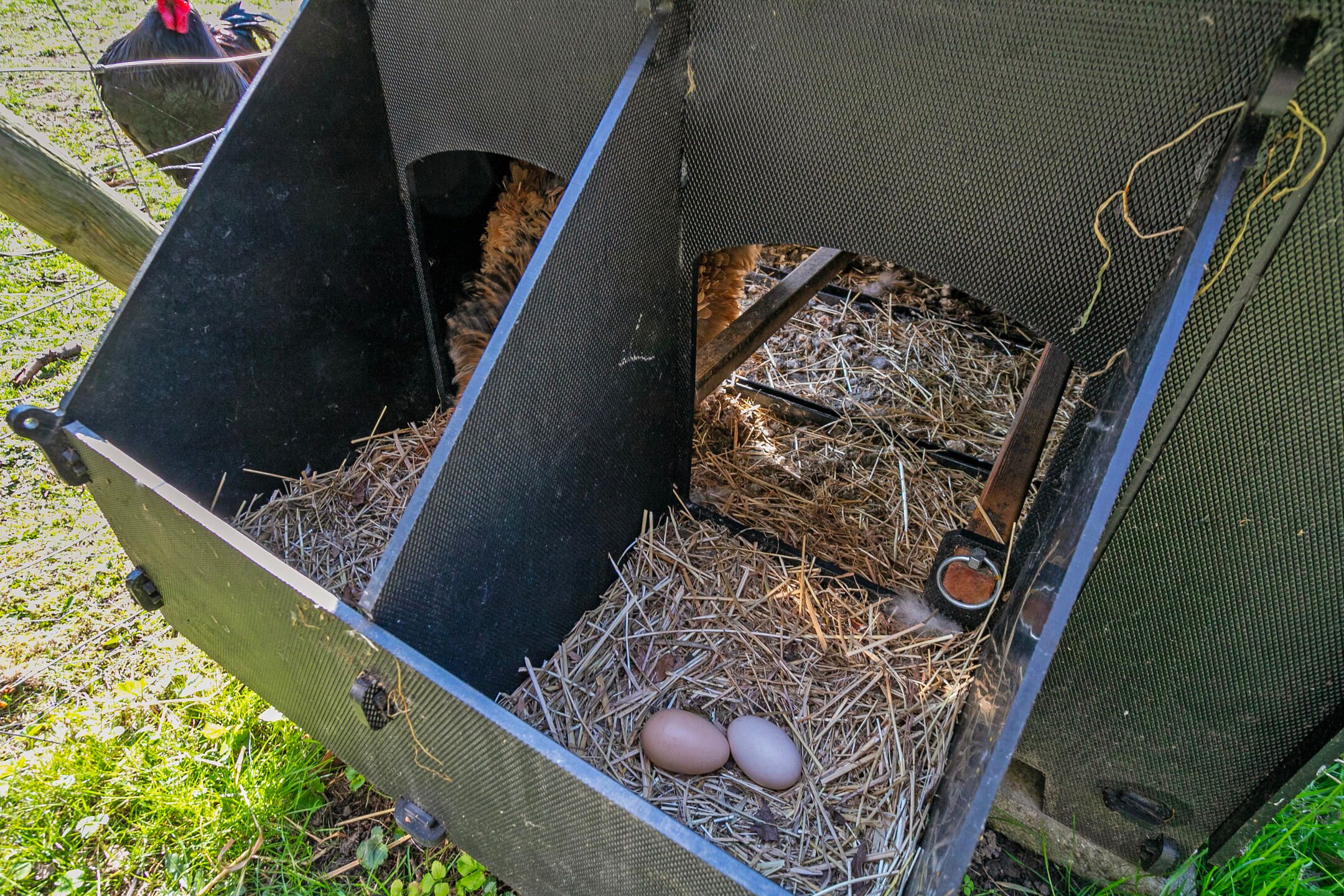 Photo 54 of Slabbekoornsedijk 4