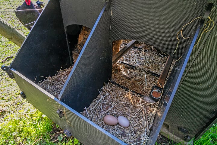 Photo 54 of Slabbekoornsedijk 4