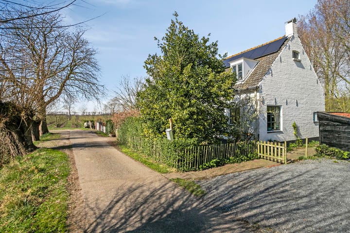 Photo 61 of Slabbekoornsedijk 4