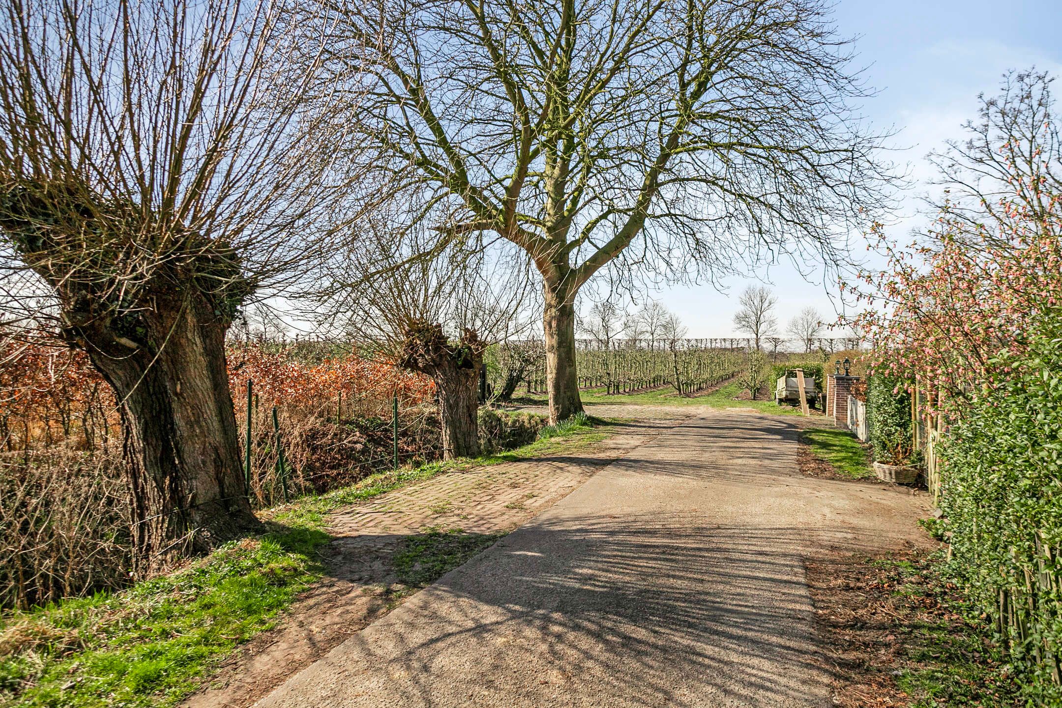 Photo 69 of Slabbekoornsedijk 4