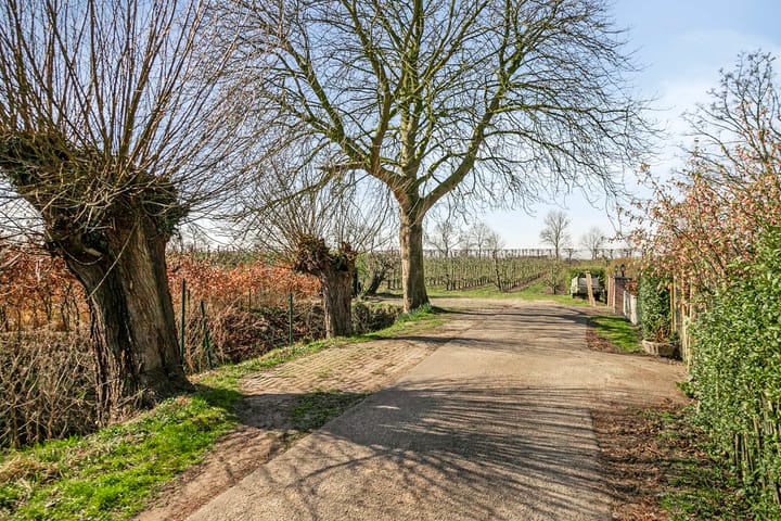 Photo 69 of Slabbekoornsedijk 4