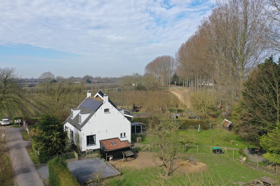 Photo 71 of Slabbekoornsedijk 4