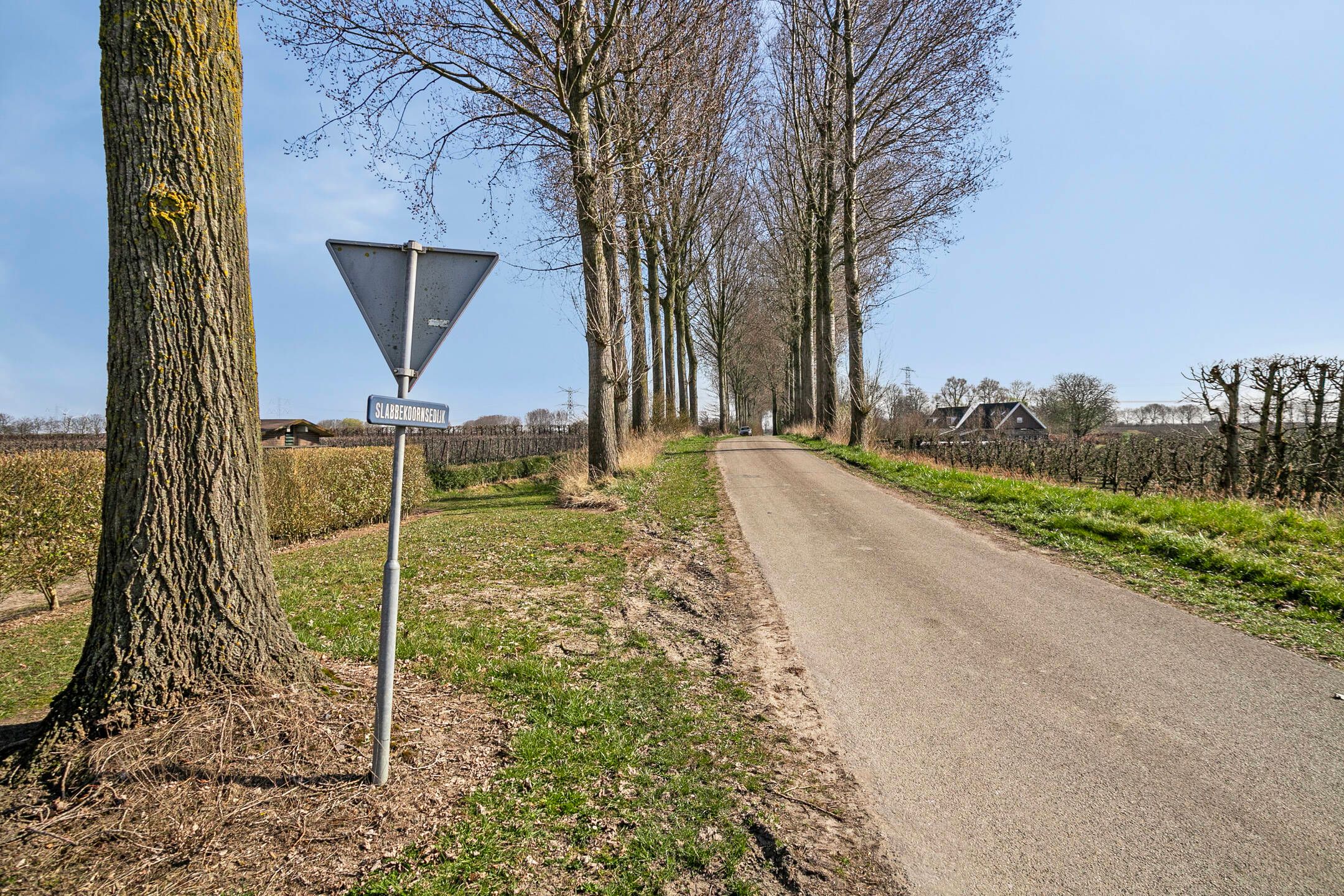 Photo 72 of Slabbekoornsedijk 4