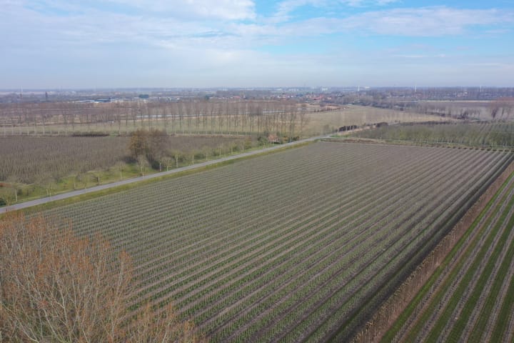 Photo 78 of Slabbekoornsedijk 4