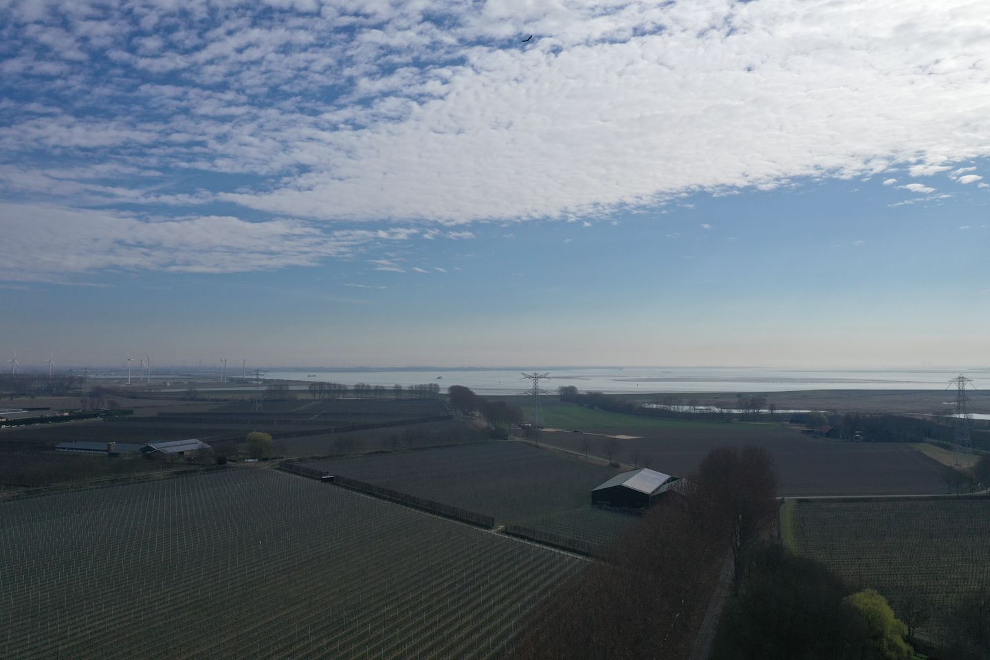 Photo 80 of Slabbekoornsedijk 4