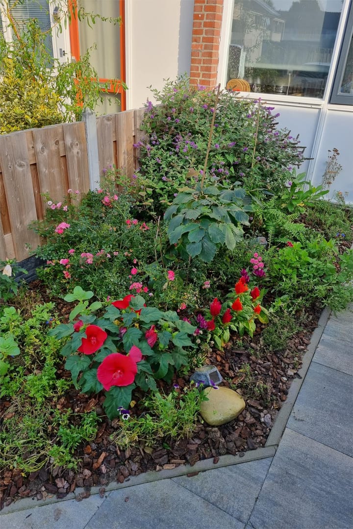 Foto 30 van Botterland 59