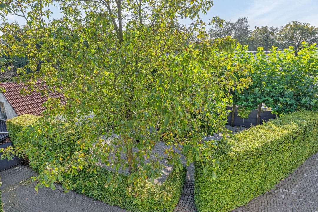 Foto 46 van Steenweg op Baarle-Hertog 44