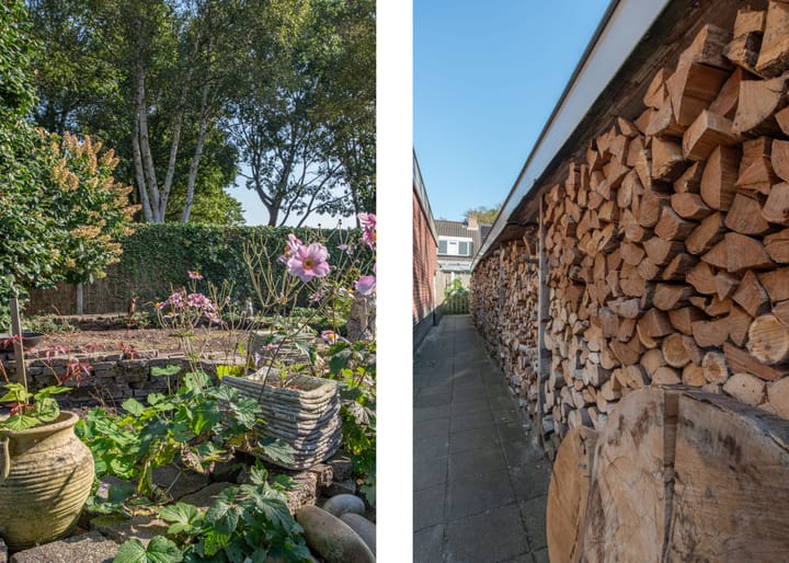 Photo 30 of Gentiaan 2