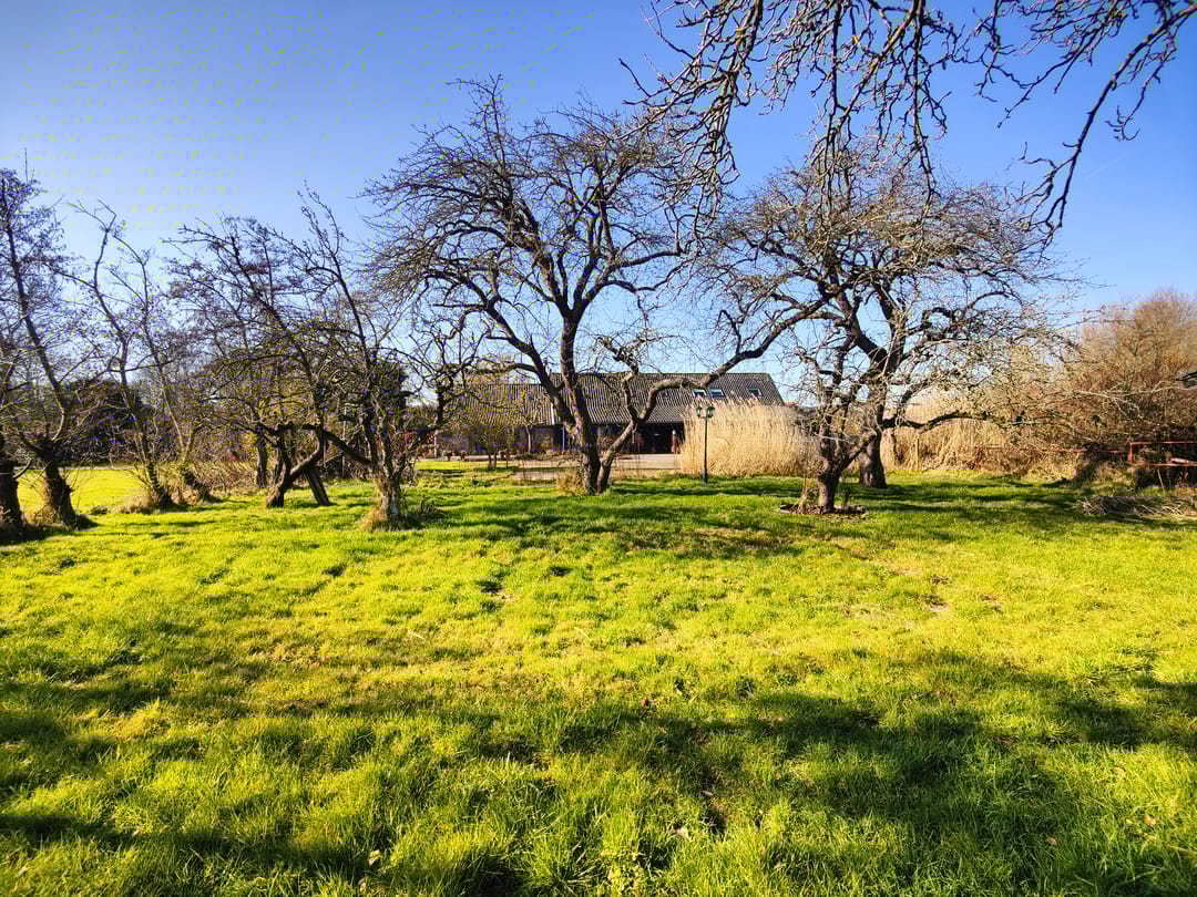 Photo 53 of Wilgenhoekweg 41