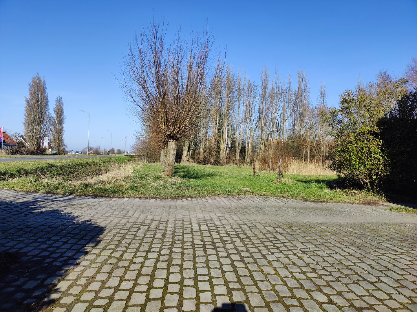 Photo 59 of Wilgenhoekweg 41