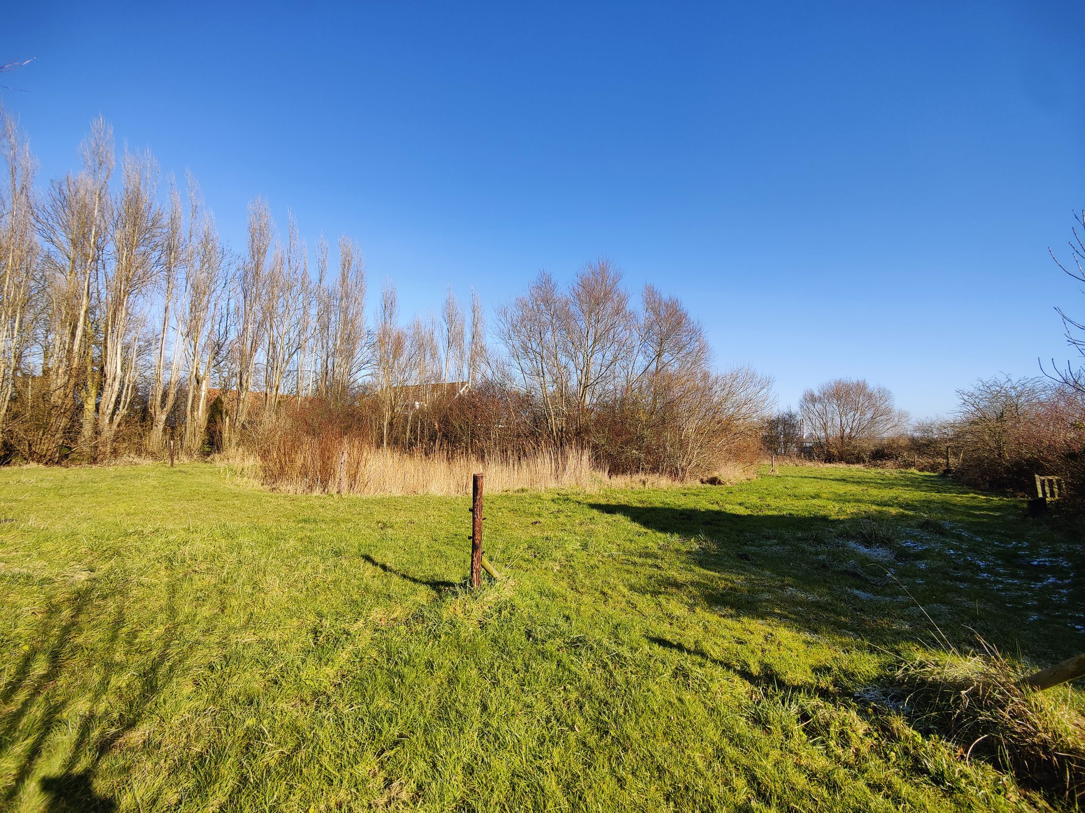 Photo 60 of Wilgenhoekweg 41