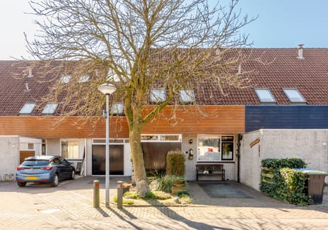 undefined main image