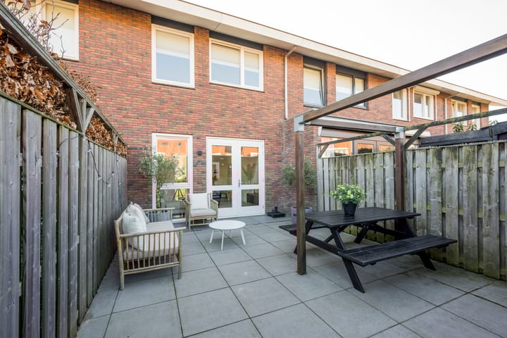 Foto 4 van Tijgervlinder 8