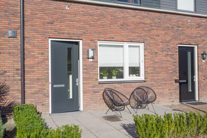 Foto 5 van Tijgervlinder 8