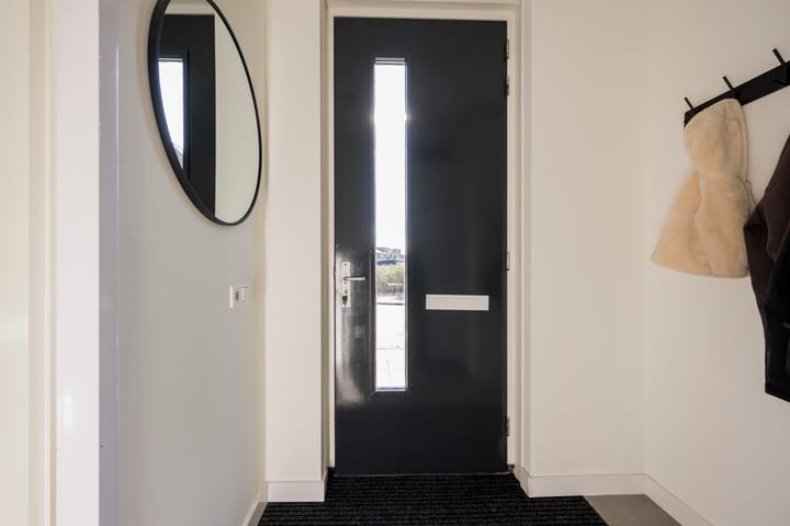 Foto 6 van Tijgervlinder 8