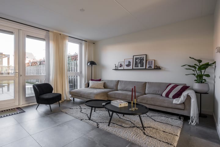 Foto 8 van Tijgervlinder 8