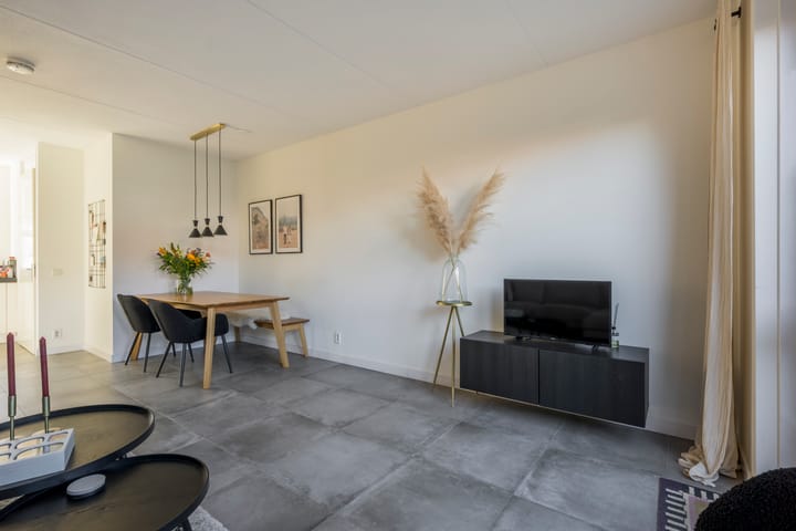 Foto 9 van Tijgervlinder 8