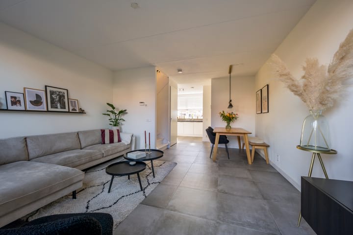 Foto 10 van Tijgervlinder 8