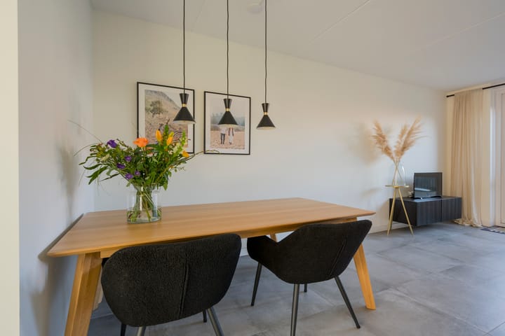 Foto 11 van Tijgervlinder 8