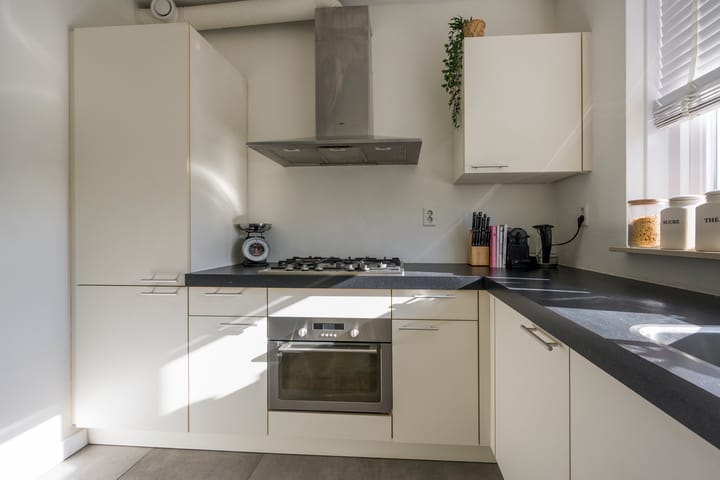 Foto 12 van Tijgervlinder 8