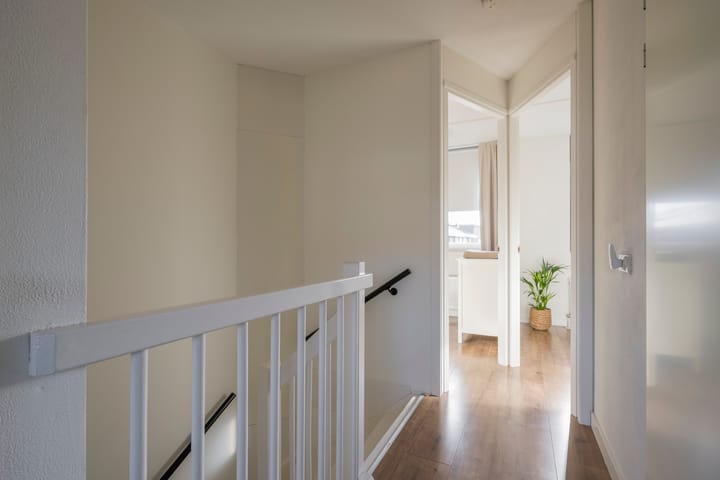 Foto 14 van Tijgervlinder 8