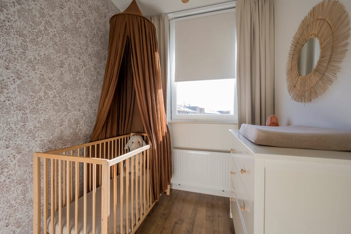 Foto 15 van Tijgervlinder 8