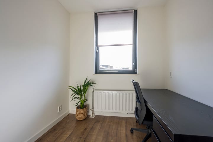 Foto 17 van Tijgervlinder 8