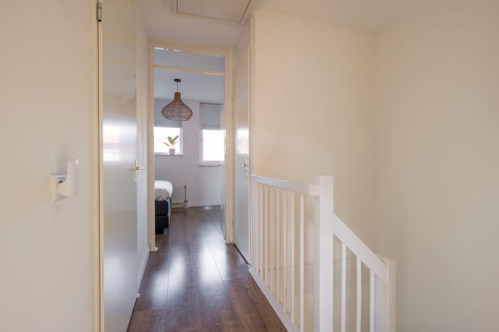 Foto 19 van Tijgervlinder 8