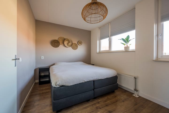 Foto 20 van Tijgervlinder 8