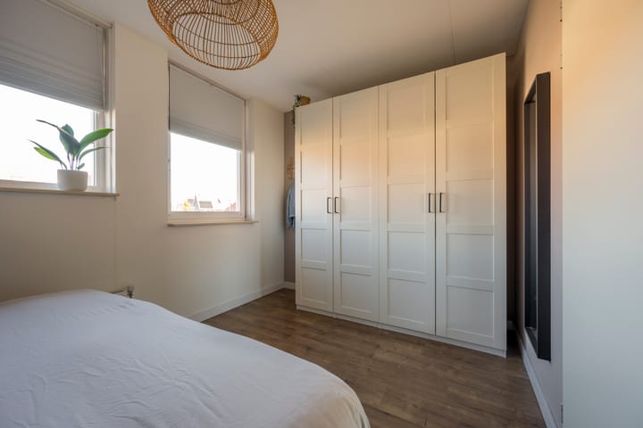 Foto 21 van Tijgervlinder 8