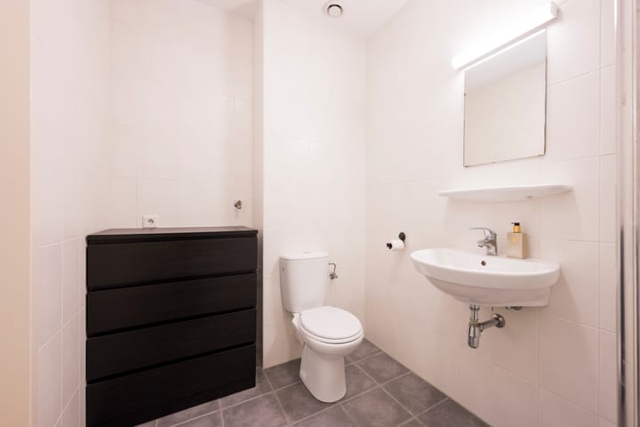 Foto 22 van Tijgervlinder 8