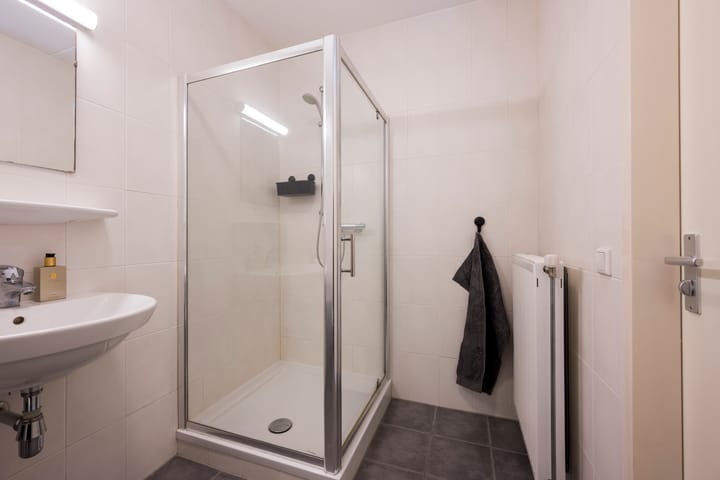 Foto 23 van Tijgervlinder 8