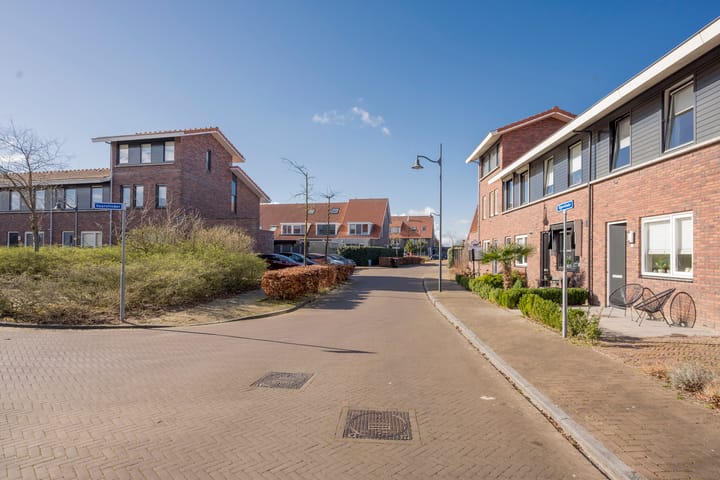 Foto 28 van Tijgervlinder 8