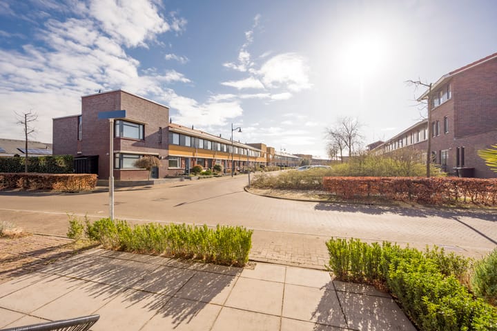 Foto 29 van Tijgervlinder 8