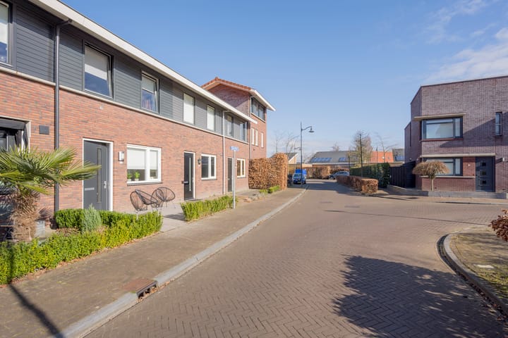 Foto 30 van Tijgervlinder 8