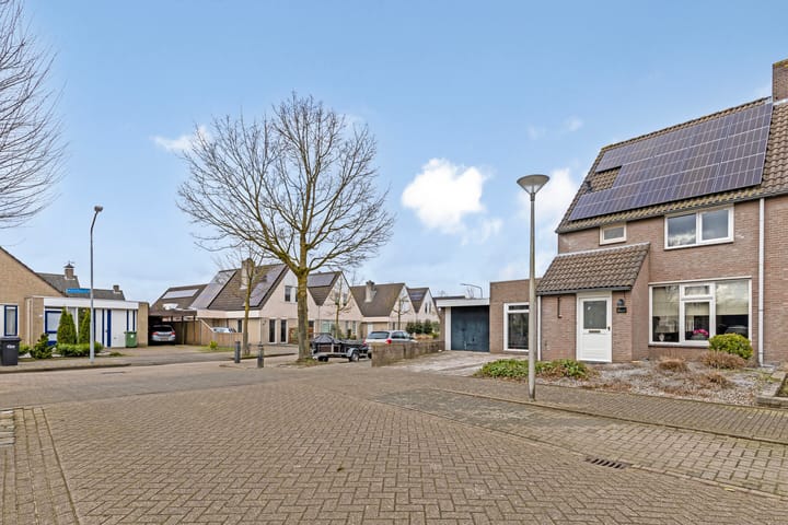 Foto 8 van Koolzaadbeemd 1