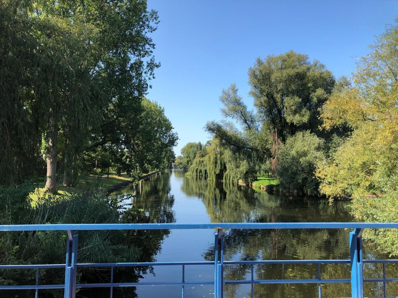 Foto 36 van Maassluisstraat 19